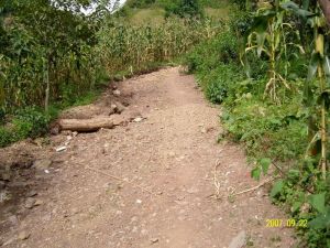 南板河自然村 南板河自然村