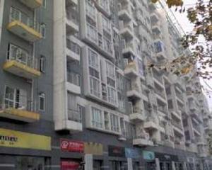 槐樹街24號 槐樹街24號