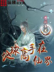 地球高手在仙界 地球高手在仙界