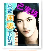 總裁閒妻不好當小說封面圖片