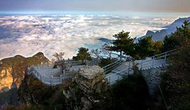 陵川王莽嶺景區