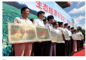 生態經濟 生態經濟