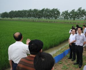 仙洪試驗區 仙洪試驗區