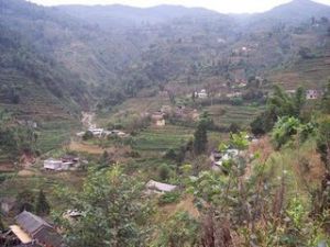 樟草河自然村 樟草河自然村