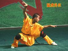 虎拳[中國傳統武術流派之一]