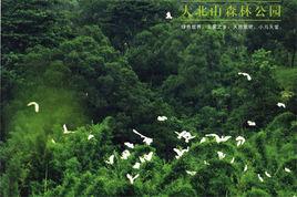 大北山國家森林公園