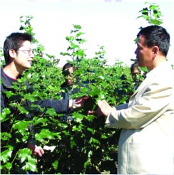 黑龍江農墾林業職業技術學院