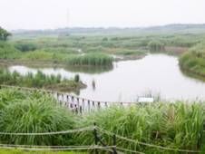 關渡自然保留區