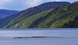 河南銅山湖水怪