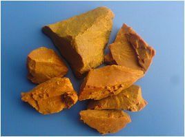 藤黃[藤黃科藤黃屬植物]