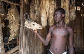 接觸巫術 接觸巫術