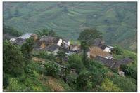 小松林自然村 小松林自然村