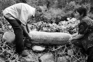 小莊科村[北京市延慶縣大莊科鄉下轄村]