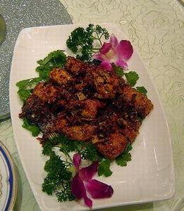 樂安霉魚 樂安霉魚