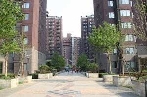 新通國際花園 新通國際花園