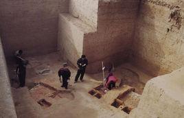 鞏義窯址 鞏義窯址