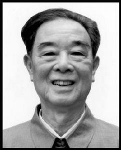 黃雲[廣西壯族自治區顧問委員會主任]