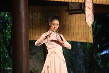 楚月《尋俠英雄傳》