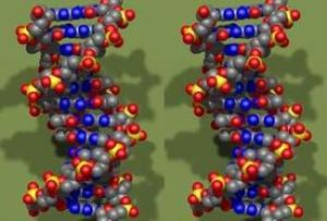 生命螺旋 生命螺旋