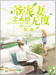 一念成婚：爺寵妻無度