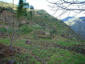 上麥莊村 上麥莊村