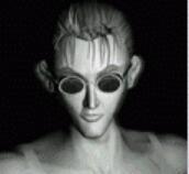 紅月[韓國ShiLi Network Co.Ltd.開發的網路遊戲]