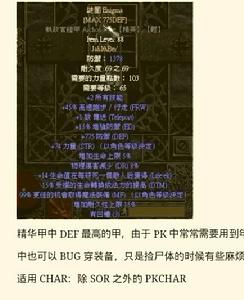 謎團[暗黑破壞神符文之語]