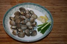 血蛤的各種圖片