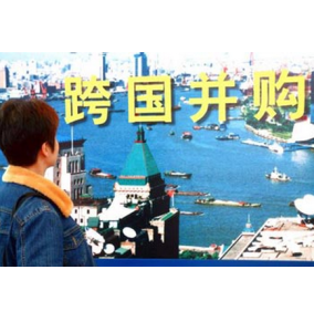 跨國併購 跨國併購