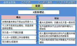 X效率理論