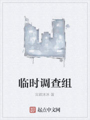 臨時調查組 臨時調查組