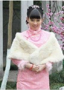 宅門裡的女人們 宅門裡的女人們