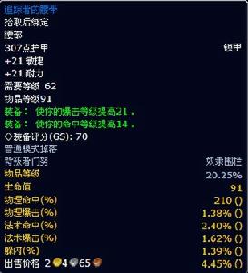 追蹤者的腰帶 追蹤者的腰帶