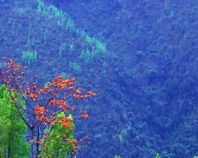 鸚哥嶺旅遊區 鸚哥嶺旅遊區