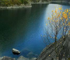 松坪溝鄉 松坪溝鄉