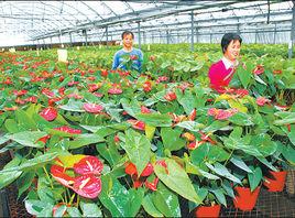 農十二師五一農場 農十二師五一農場