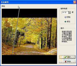 光影魔術手 光影魔術手