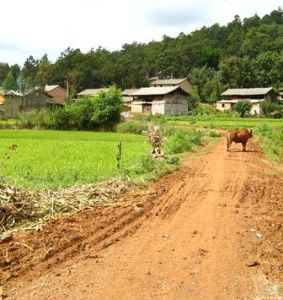 白泥塘自然村 白泥塘自然村