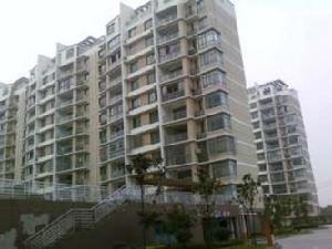 太陽花園 太陽花園