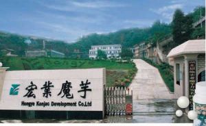 湖北恩施宏業魔芋開發有限公司 湖北恩施宏業魔芋開發有限公司