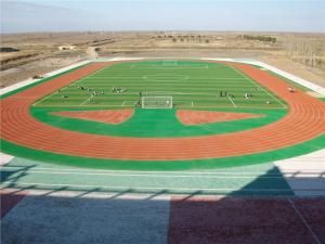 紅衛農場學校 紅衛農場學校