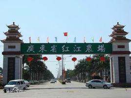 紅江農場 紅江農場