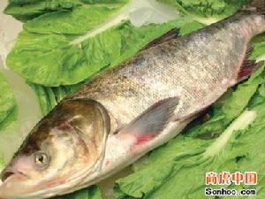 黨參燉鰱魚
