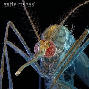 散發性腦炎伴發的精神障礙