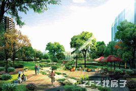 新鵬四季風景 新鵬四季風景