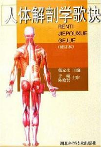 人體解剖學歌訣 人體解剖學歌訣