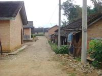 村內道路