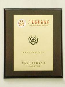 嘉應製藥 嘉應製藥