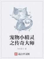 寵物小精靈之傳奇大師 寵物小精靈之傳奇大師