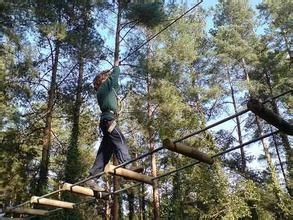 快樂猩猩樹上探險主題公園